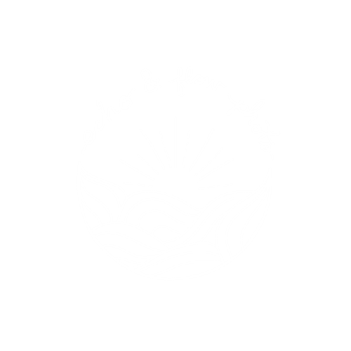 Echo & Flow Photo logo